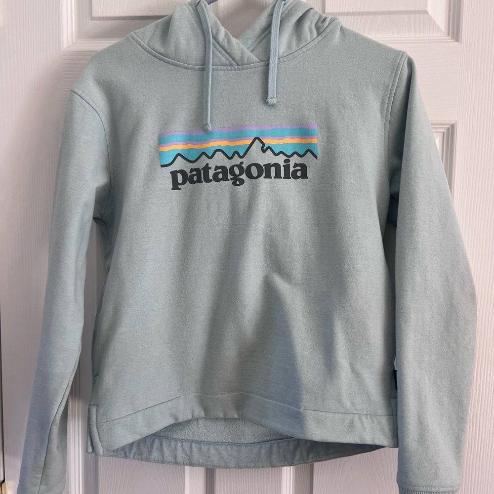 Patagonia Light Blue Hoodie